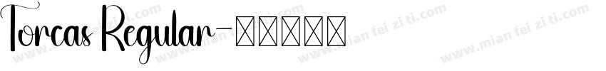 Torcas Regular字体转换